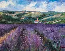 Lavender Fields.webp