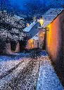 Winter Night