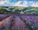 Lavender Fields