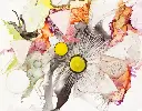 Kaleidoscope - The Enchantment of Color - Harmony
