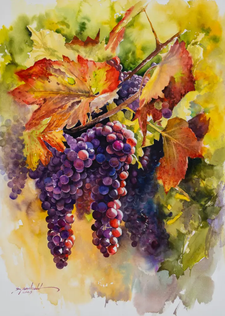 Grapes