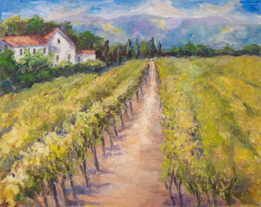 Vinyard in Italy