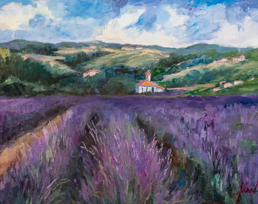 Lavender Fields